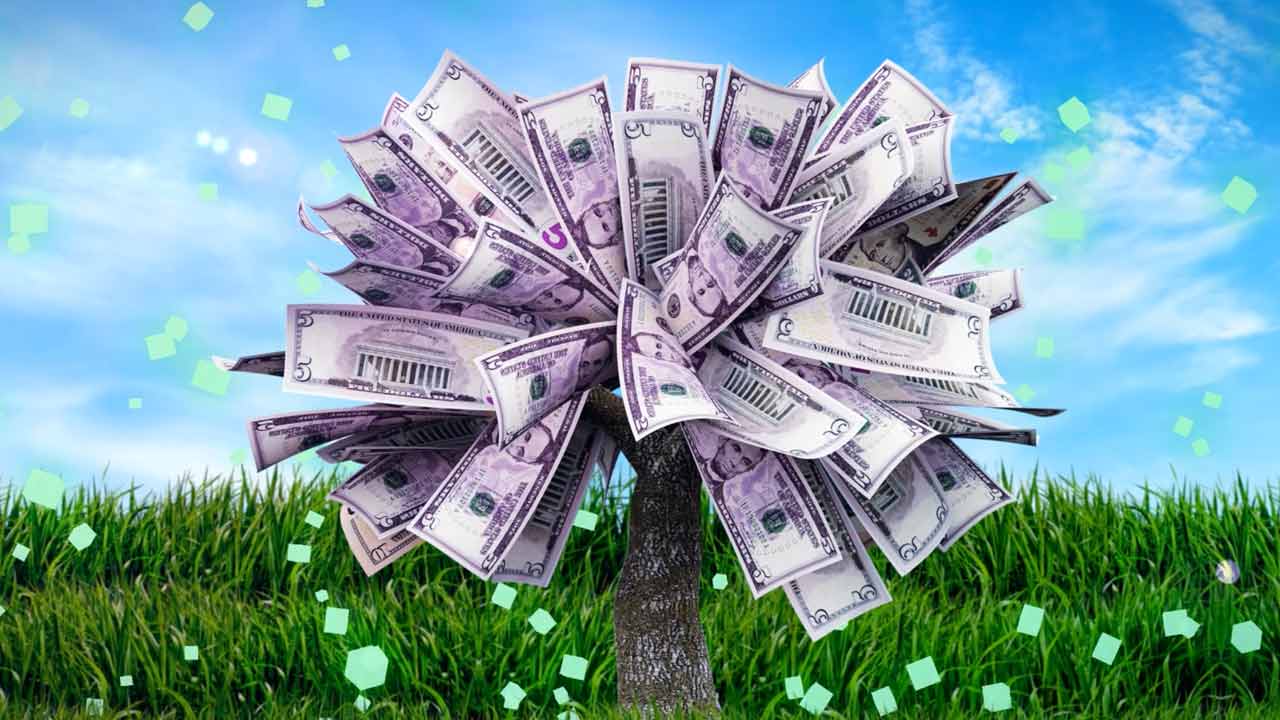 Does Money Grow on Trees?