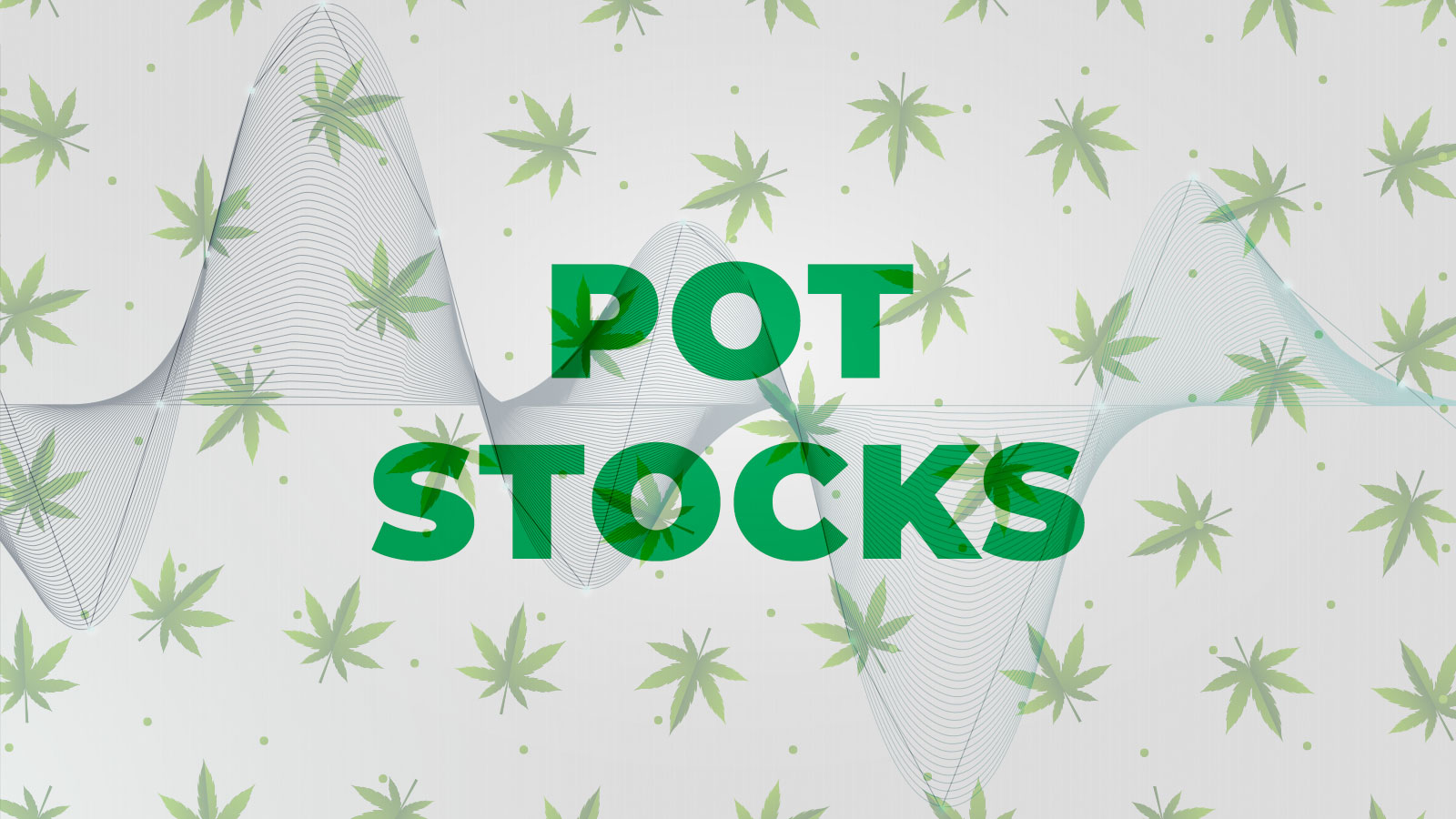 Getting High on Pot Stocks: Is it Time to Invest in This Industry?