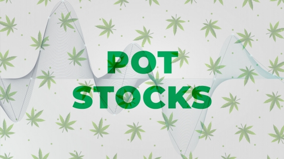 Getting High on Pot Stocks: Is it Time to Invest in This Industry?