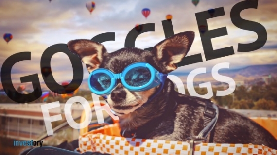 Doggles for Doggies