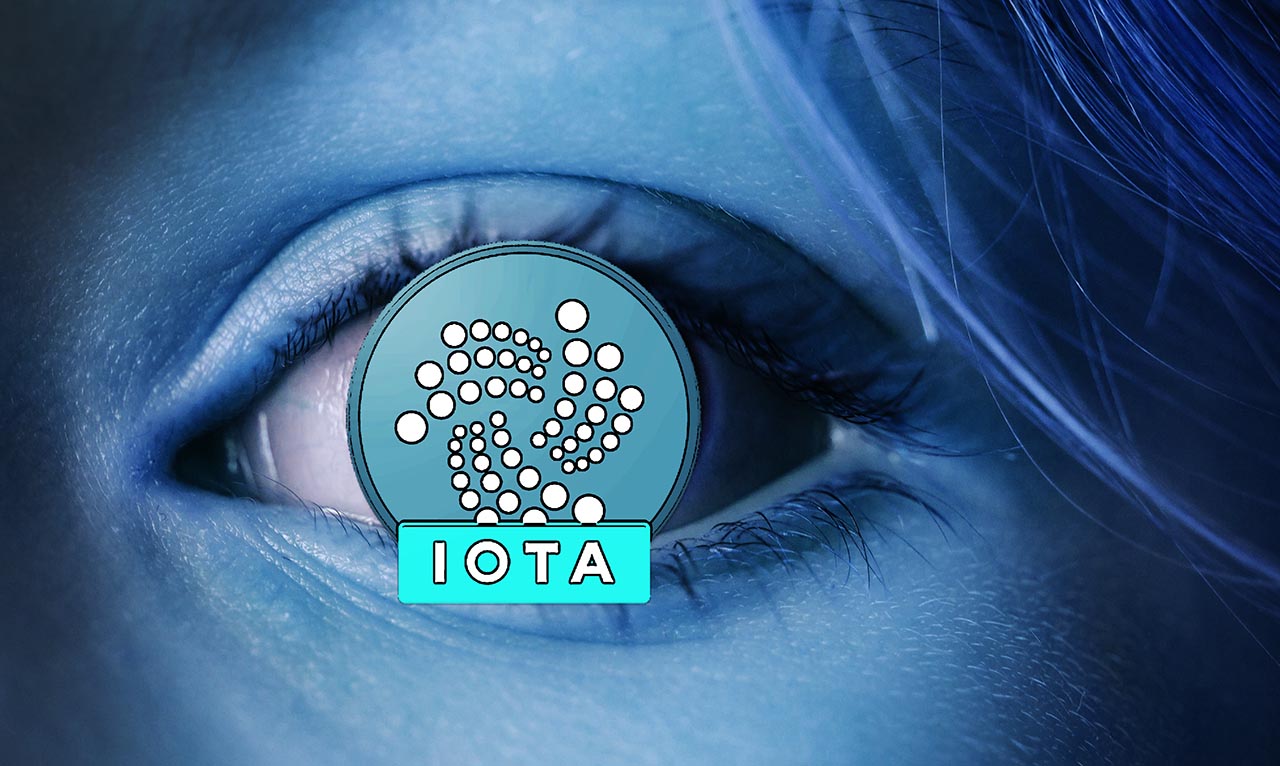 iota coin vs bitcoin