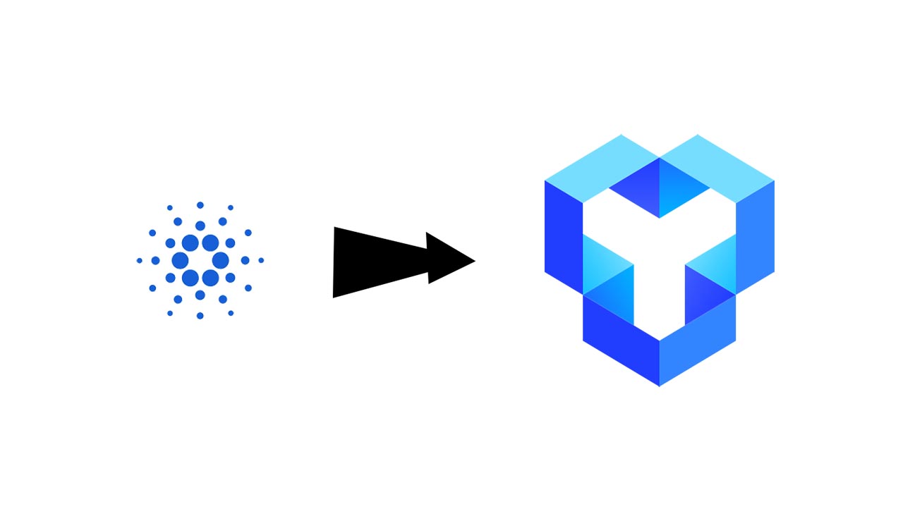 Cardano vs. YouToken; Should You Invest In YouToken