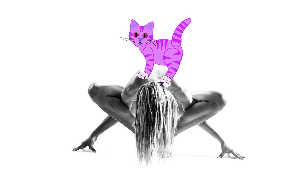 The Cat Yoga Trend - Investory-video.com